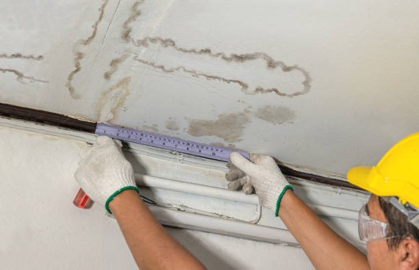 Reliable Mold Remediation contractor in Rocky Mount, VA by Water Damage Irwin